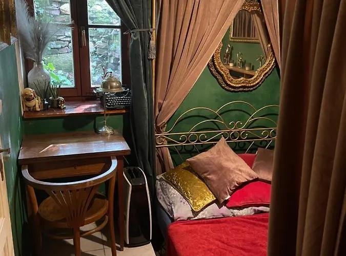 Decadent Art Club Проживание в семье *