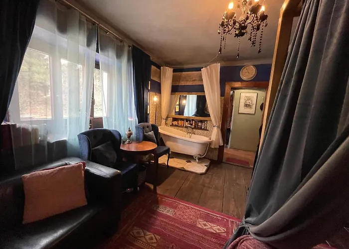 Decadent Art Club Проживание в семье *